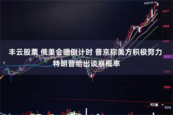 丰云股票 俄美会晤倒计时 普京称美方积极努力 特朗普给出谈崩概率